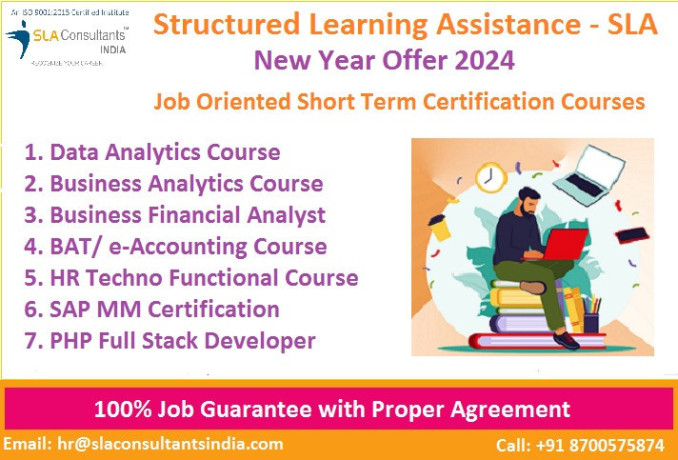accounting-training-course-in-delhi-100-job-guarantee-best-gst-bat-job-oriented-training-by-sla-institute-update-skills-in-24-for-best-salary-big-0