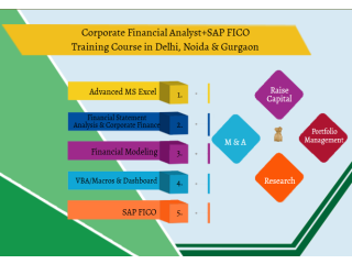 Financial Modelling Course in Delhi,110056. Best Online Live Financial Analyst Training in Kota by IIT Faculty , [ 100% Job in MNC]