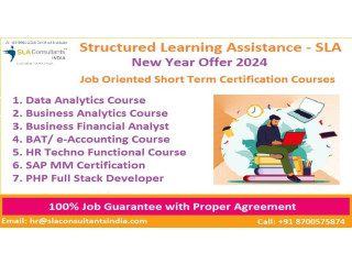 Online Programs in Human Resource Management in Delhi by Structured Learning Assistance - SLA HR and Payroll Institute in Delhi, Updated [2024]