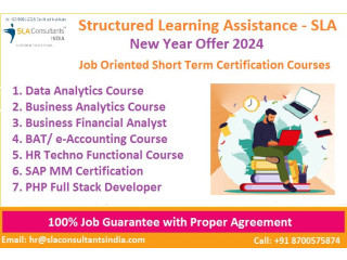 Free Tally Course in Delhi, with Free Busy and  Tally Certification  by SLA Consultants Institute in Delhi, NCR, Finance Certification, 100% Job,